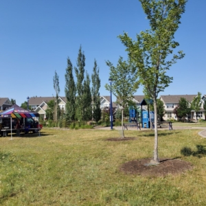 playground for toddlers