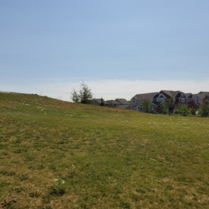 off leash area for your dogs