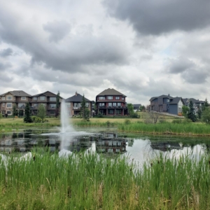 Windermere pond view